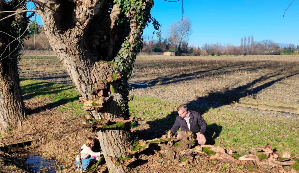 Monastier: l’originale presepe, diffuso e condiviso, nel viale dell’abbazia