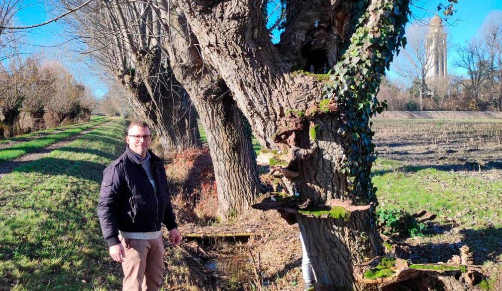 Monastier: l’originale presepe, diffuso e condiviso, nel viale dell’abbazia