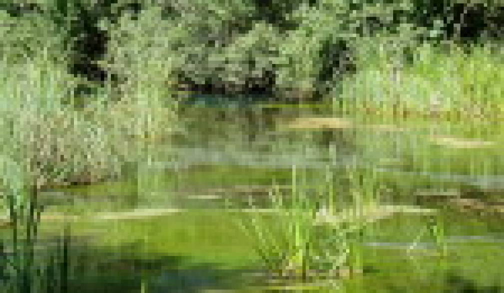 “La Storga, un possibile Parco” “La Storga, un possibile Parco”