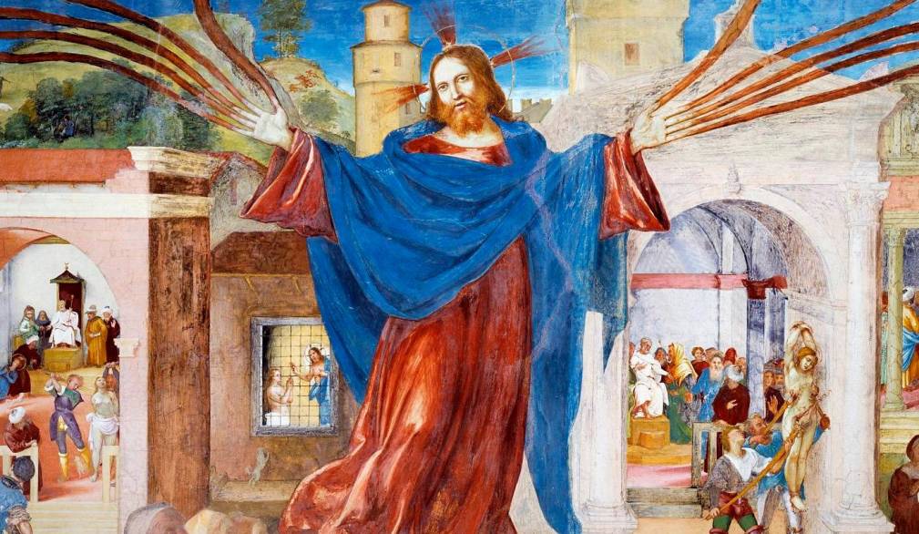 V Domenica di Pasqua: La vite, i tralci e la vita V Domenica di Pasqua: La vite, i tralci e la vita