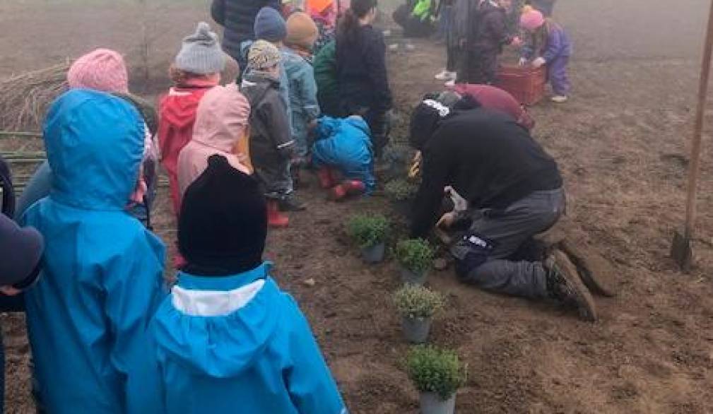 Un frutteto alla scuola dell’infanzia di Zenson Un frutteto alla scuola dell’infanzia di Zenson
