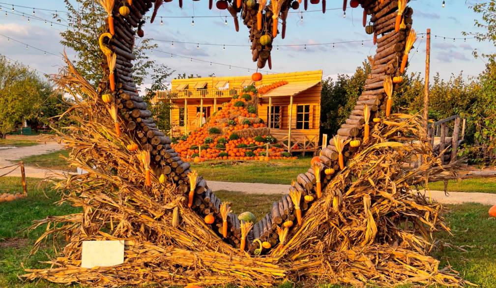 Dal 19 settembre torna il Villaggio delle zucche di Nonno Andrea