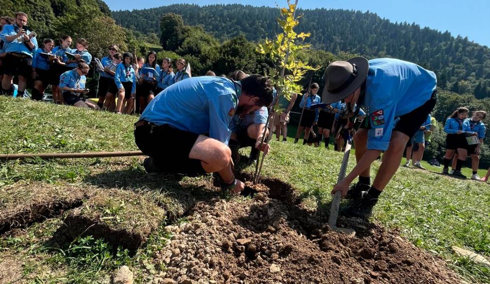La piantumazione del faggio, simbolo di speranza, a Trichiana. La piantumazione del faggio, simbolo di speranza, a Trichiana.