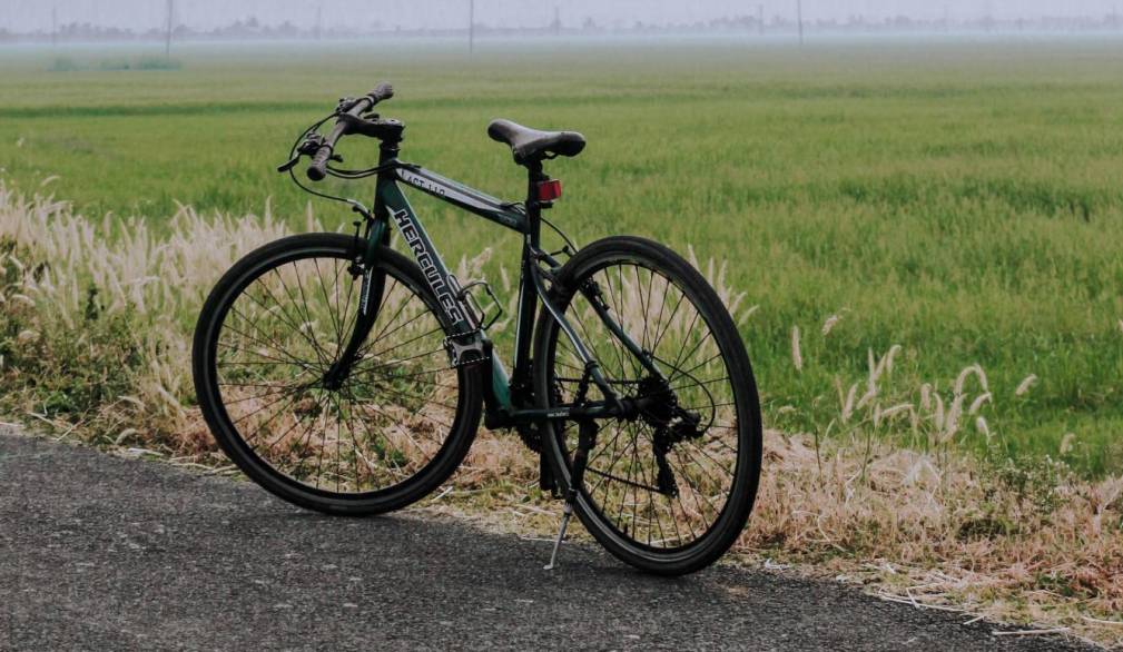 La Regione fa il punto sulle ciclovie di interesse nazionale La Regione fa il punto sulle ciclovie di interesse nazionale