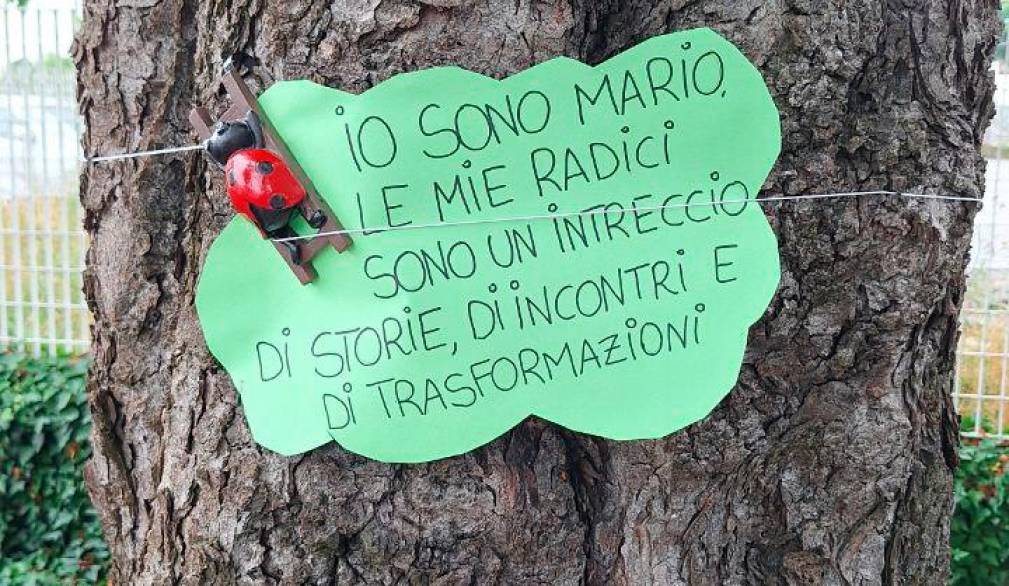 San Donà, una pista ciclabile controversa San Donà, una pista ciclabile controversa
