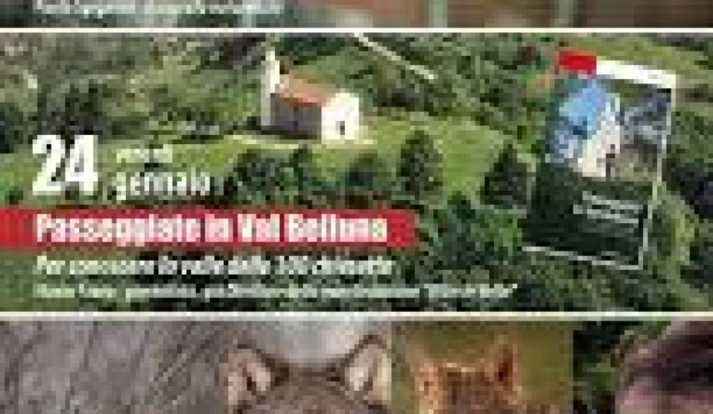 Conoscere l’ambiente: incontri a Mogliano Conoscere l’ambiente: incontri a Mogliano