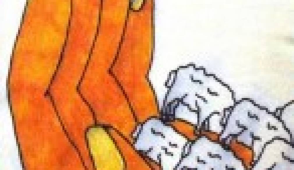 Il buon pastore dà la propria vita per le pecore - IV DOMENICA Di PASQUA – ANNO B Il buon pastore dà la propria vita per le pecore - IV DOMENICA Di PASQUA – ANNO B