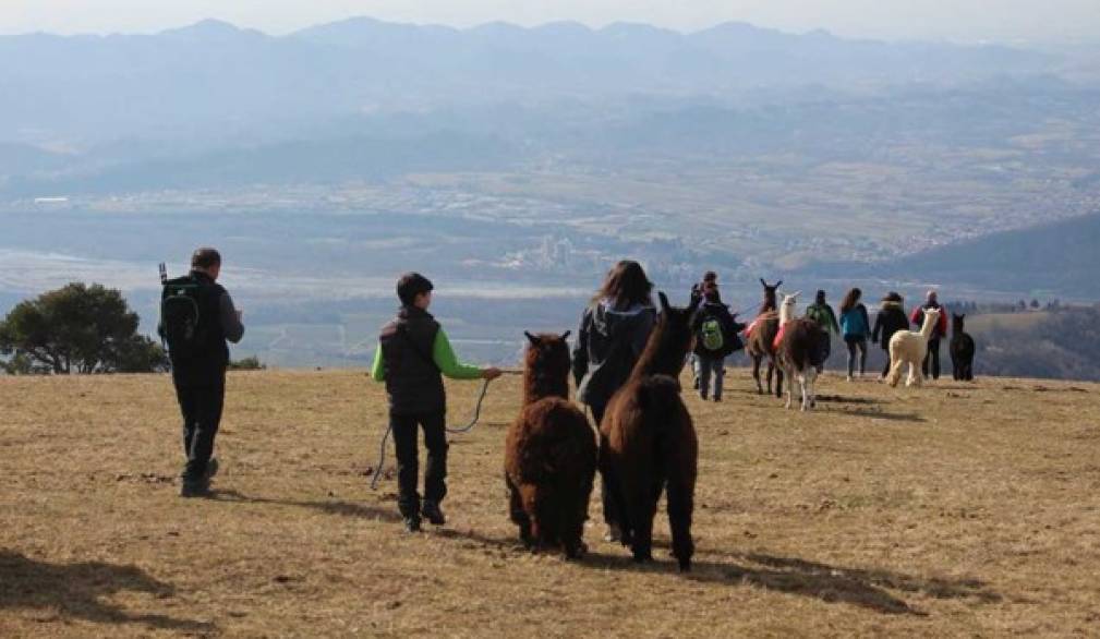 Ande peruviane? No, monte Cesen. Le nuove frontiere del trekking Ande peruviane? No, monte Cesen. Le nuove frontiere del trekking