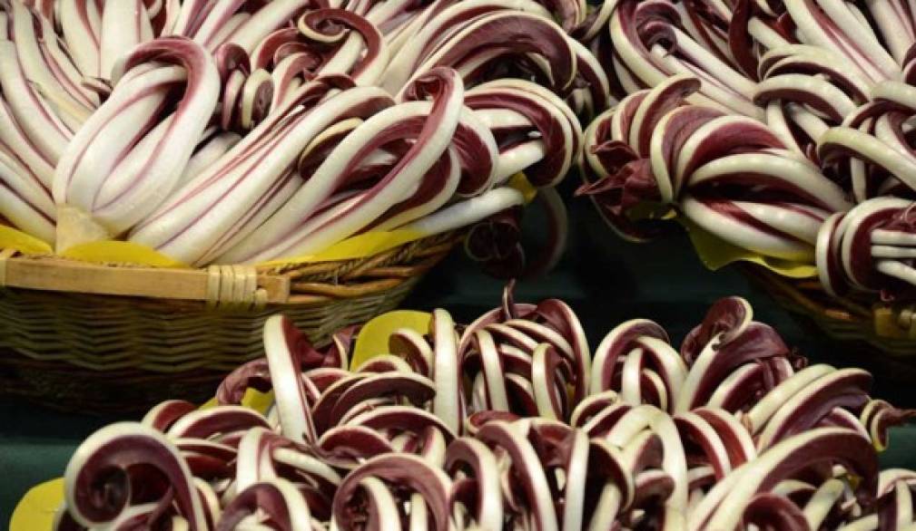 A Rio San Martino si apre la stagione del radicchio A Rio San Martino si apre la stagione del radicchio