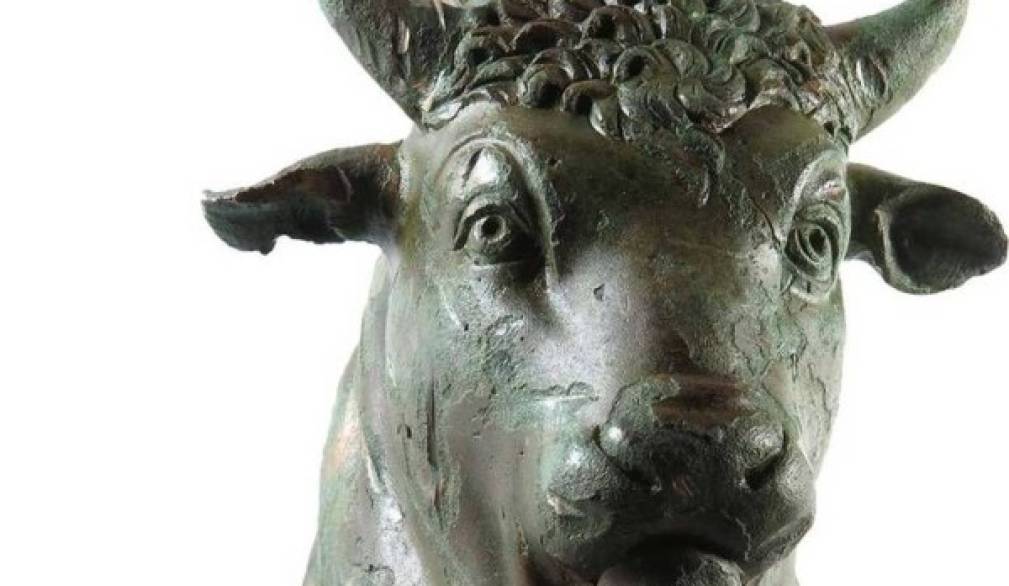 Pezzi di storie: sorprendenti reperti archeologici da Montebelluna Pezzi di storie: sorprendenti reperti archeologici da Montebelluna