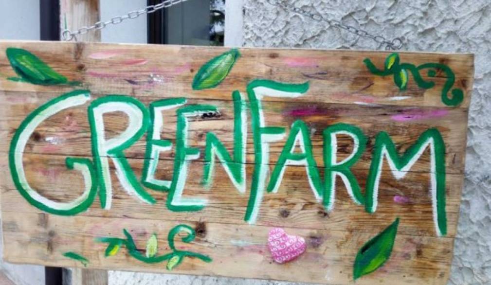 San Donà: votando Green Farm si aiuta il piccolo rifugio a vincere 5mila euro San Donà: votando Green Farm si aiuta il piccolo rifugio a vincere 5mila euro