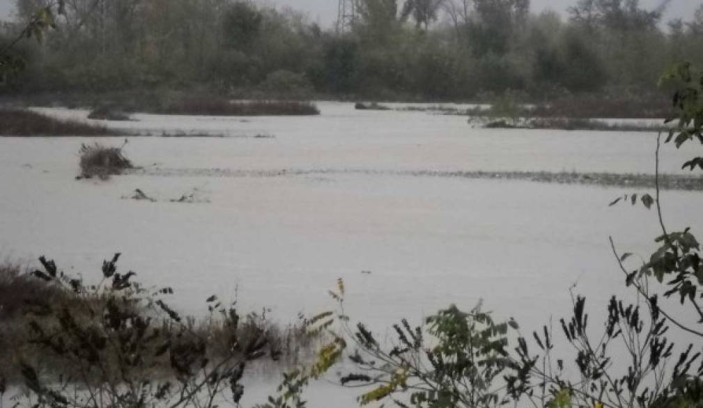 Maltempo: preoccupazione per il Piave Maltempo: preoccupazione per il Piave