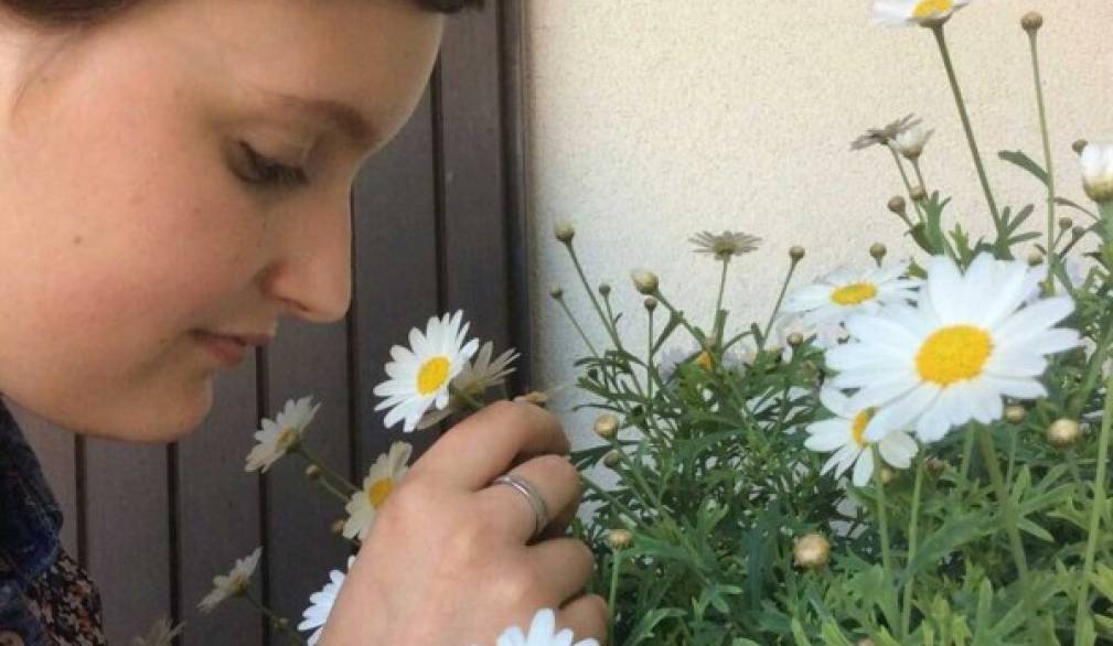 Il sogno di Ludovica continua Il sogno di Ludovica continua