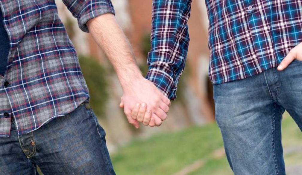 Forum Famiglie su ddl Cirinnà: non si spacca il Paese per una legge come questa Forum Famiglie su ddl Cirinnà: non si spacca il Paese per una legge come questa