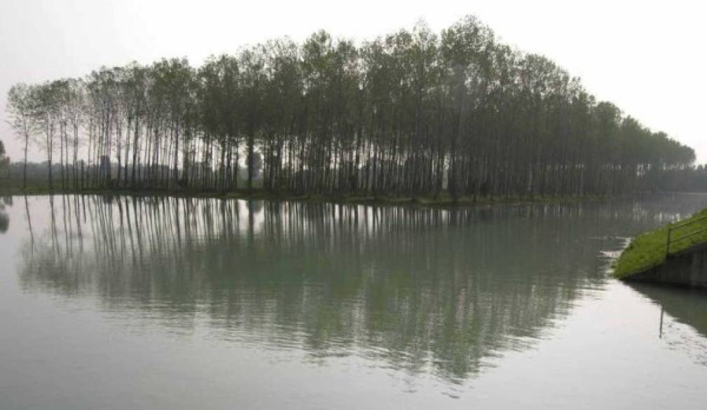 Maltempo: ecco perché Asolano e Castellana sono (quasi) indenni! Maltempo: ecco perché Asolano e Castellana sono (quasi) indenni!