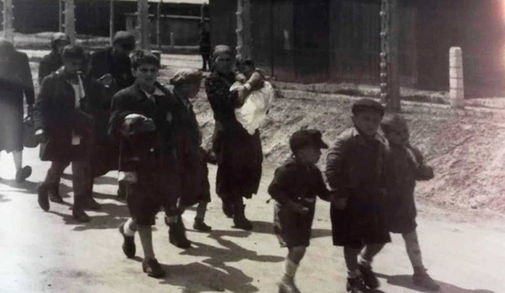 Giornata della Memoria: gli appuntamenti nel territorio Giornata della Memoria: gli appuntamenti nel territorio