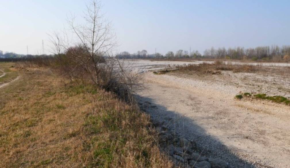 Siccità, Bonet (Piave Servizi): "Avevamo avvisato, situazione da monitorare" Siccità, Bonet (Piave Servizi): "Avevamo avvisato, situazione da monitorare"