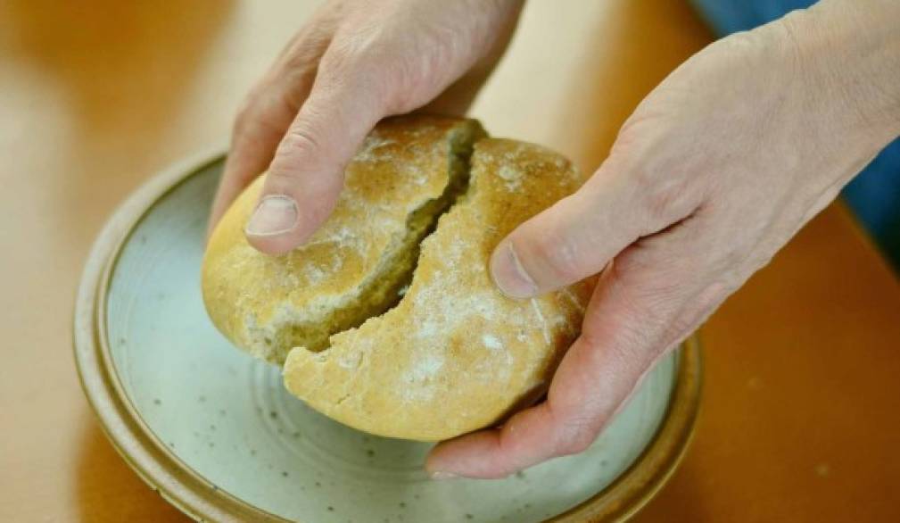 Tempo del creato, il gusto del pane Tempo del creato, il gusto del pane