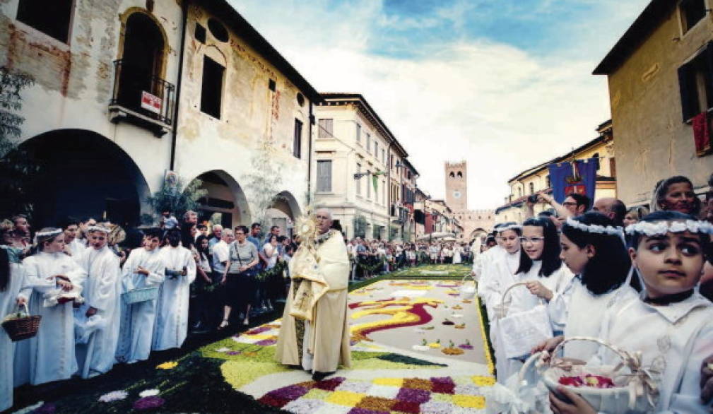 Infiorata di Noale dedicata ai missionari del mondo Infiorata di Noale dedicata ai missionari del mondo