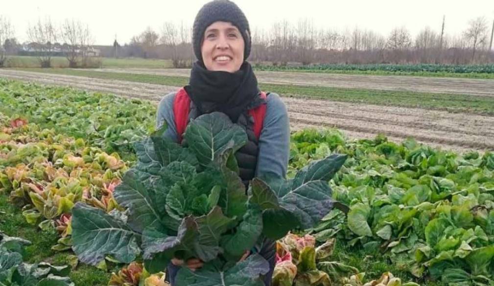 Castelfranco: tutto esaurito ai corsi sull'orto biologico Castelfranco: tutto esaurito ai corsi sull'orto biologico