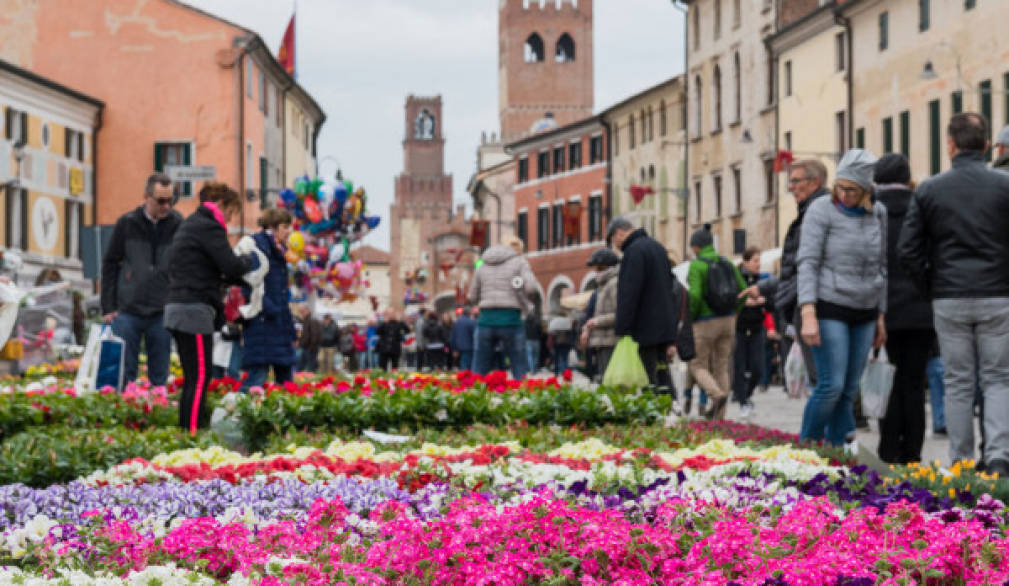Domenica 16 aprile torna Noale in fiore Domenica 16 aprile torna Noale in fiore