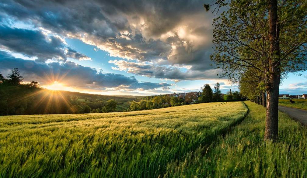 Pregare e celebrare per il Creato Pregare e celebrare per il Creato