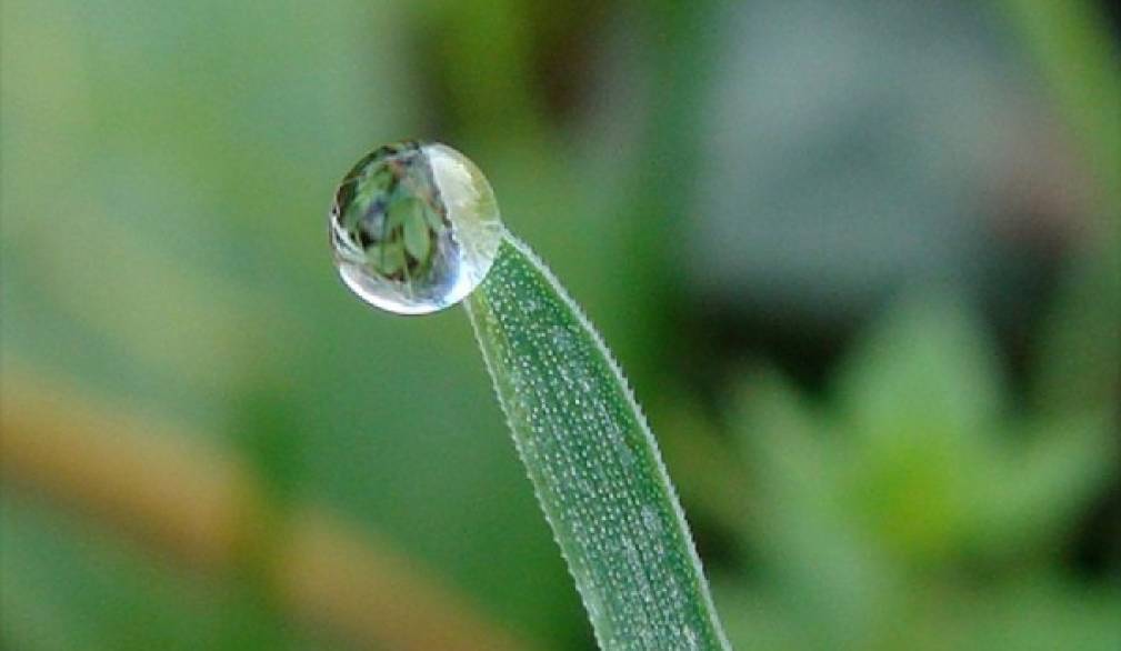 Più piccolo sei, più grande sarà il tuo mondo Più piccolo sei, più grande sarà il tuo mondo