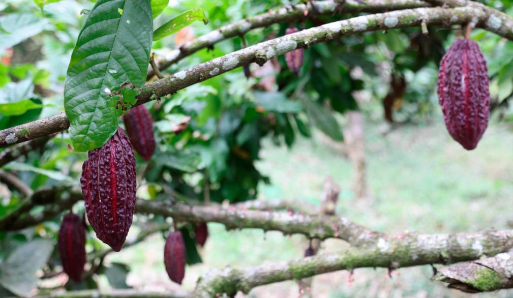 Mese missionario: in ascolto dell’Ecuador