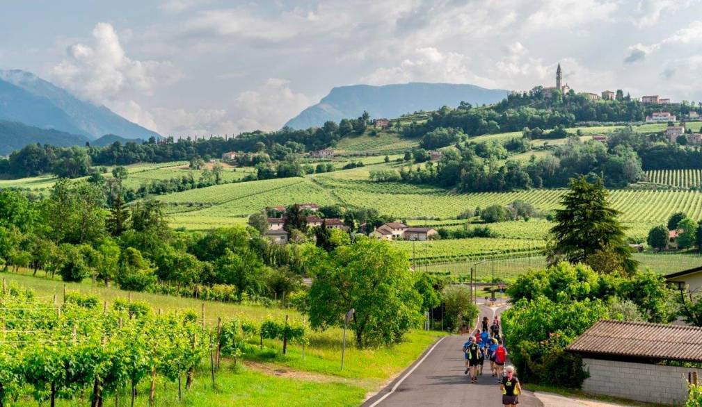 Ca’ del Poggio run vola oltre i 1.500 iscritti Ca’ del Poggio run vola oltre i 1.500 iscritti