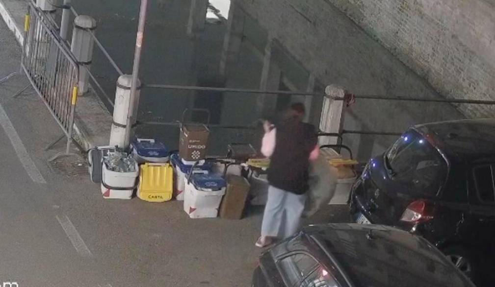 Ecovandali intrappolati Ecovandali intrappolati