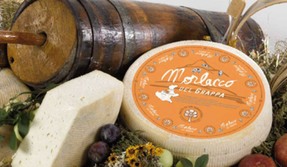 Cavaso: il formaggio di Malga Cavaso: il formaggio di Malga