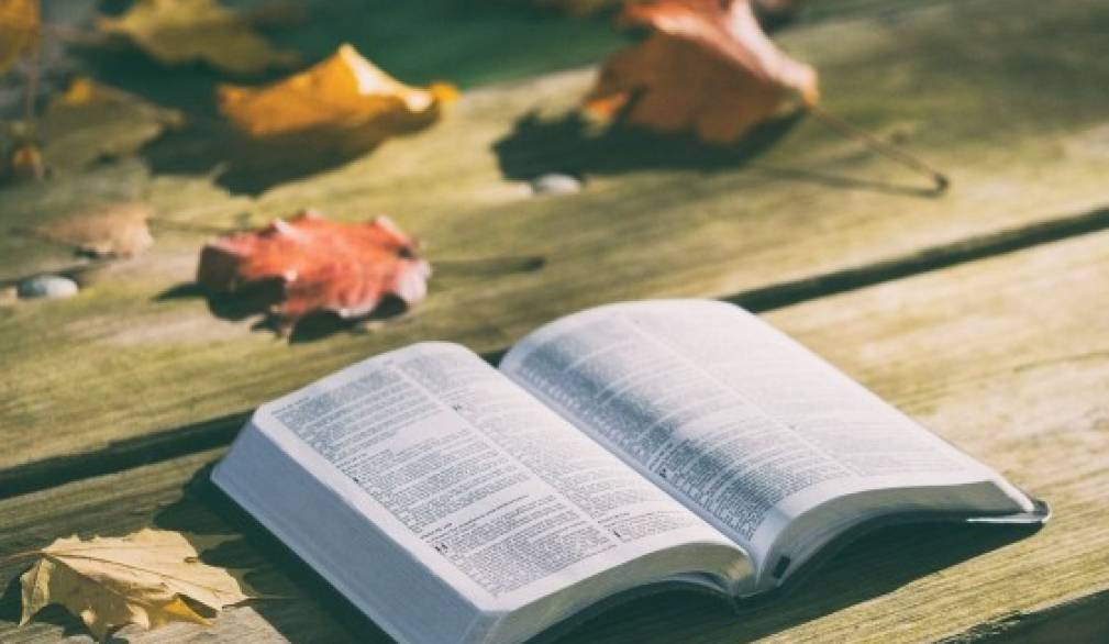 I Vescovi del Triveneto scrivono a genitori e ragazzi sulla scelta dell'ora di religione I Vescovi del Triveneto scrivono a genitori e ragazzi sulla scelta dell'ora di religione