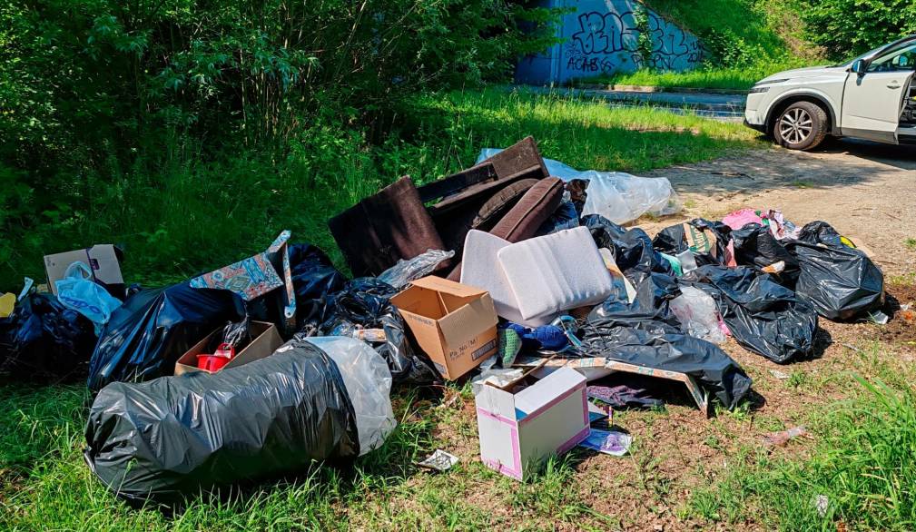 Ecovandali intrappolati Ecovandali intrappolati