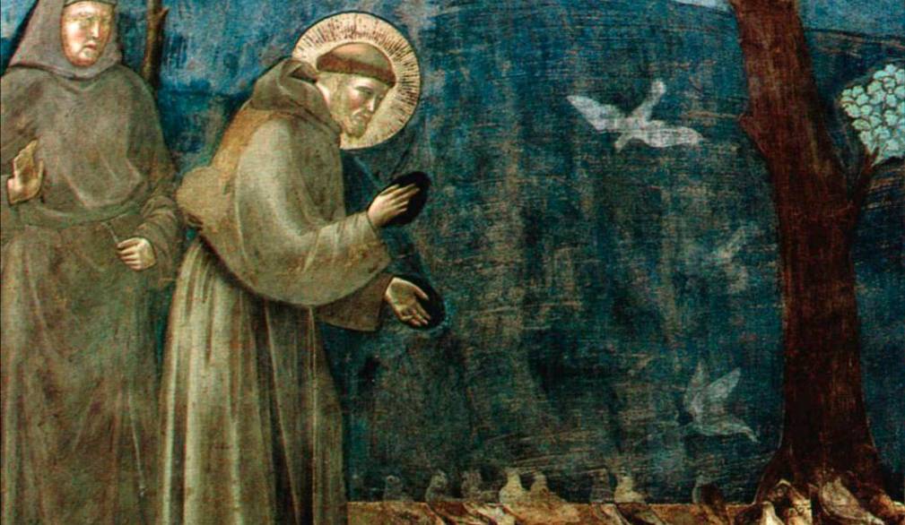 San Francesco e il Cantico che ci mostra la via della conversione ecologica San Francesco e il Cantico che ci mostra la via della conversione ecologica