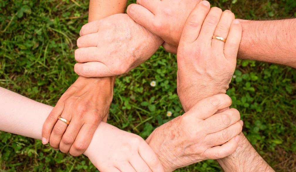 Le parole della fragilità Le parole della fragilità