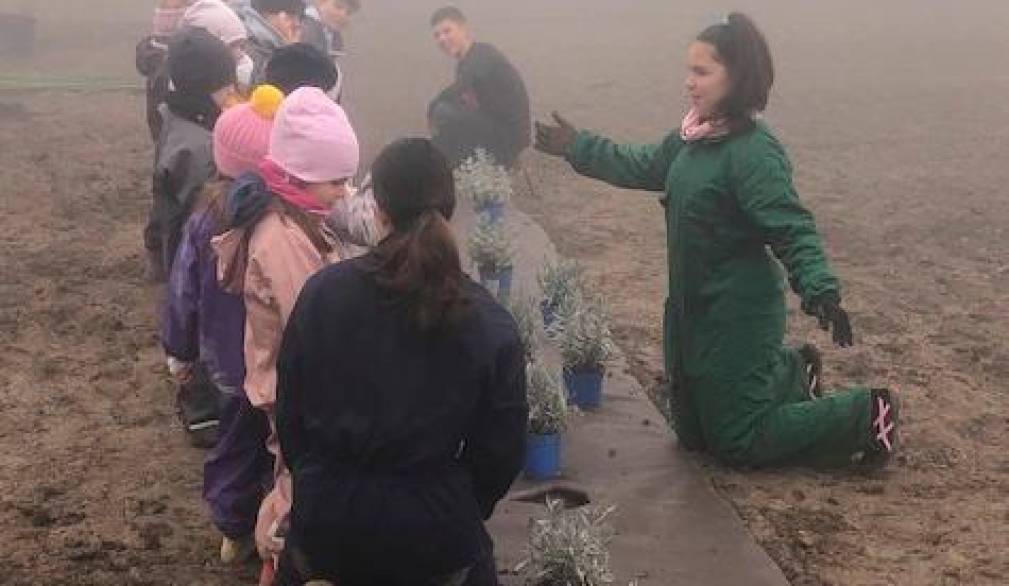 Un frutteto alla scuola dell’infanzia di Zenson Un frutteto alla scuola dell’infanzia di Zenson