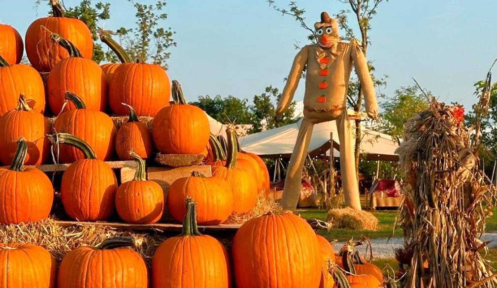 Dal 19 settembre torna il Villaggio delle zucche di Nonno Andrea