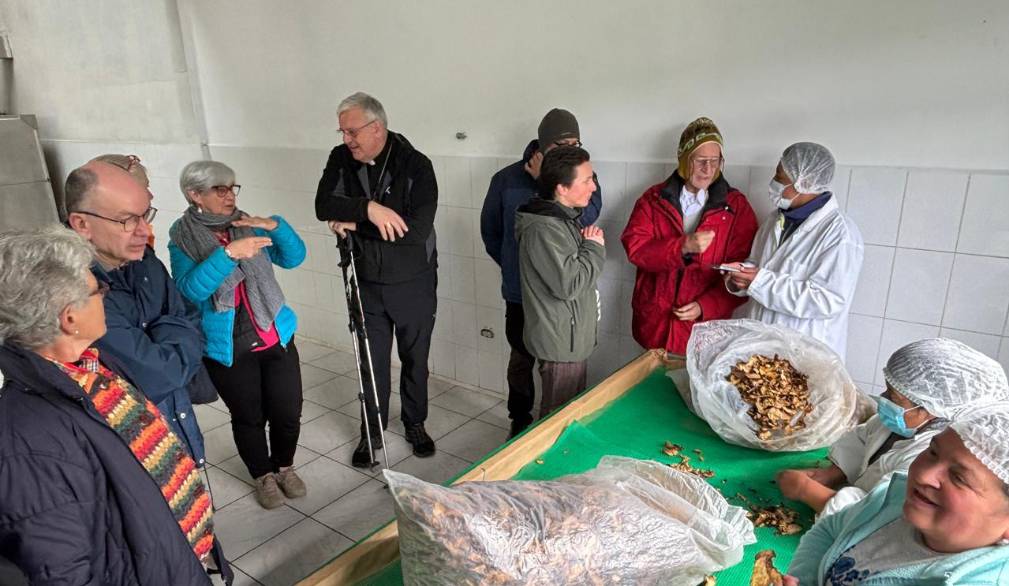 Salinas: essiccazione di funghi e frutta