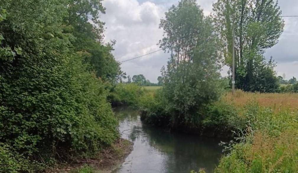 Ampliamento di Veneta Cucine a San Biagio, la preoccupazione di Legambiente Ampliamento di Veneta Cucine a San Biagio, la preoccupazione di Legambiente