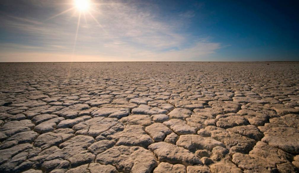 Il caldo che uccide Il caldo che uccide