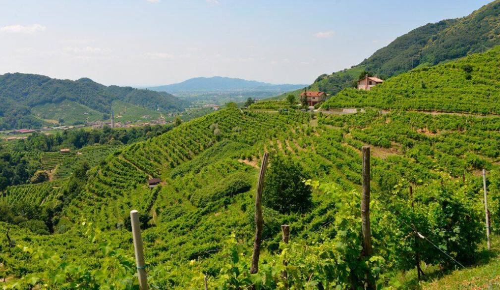 Turismo: convenzione tra i Comuni del Montello