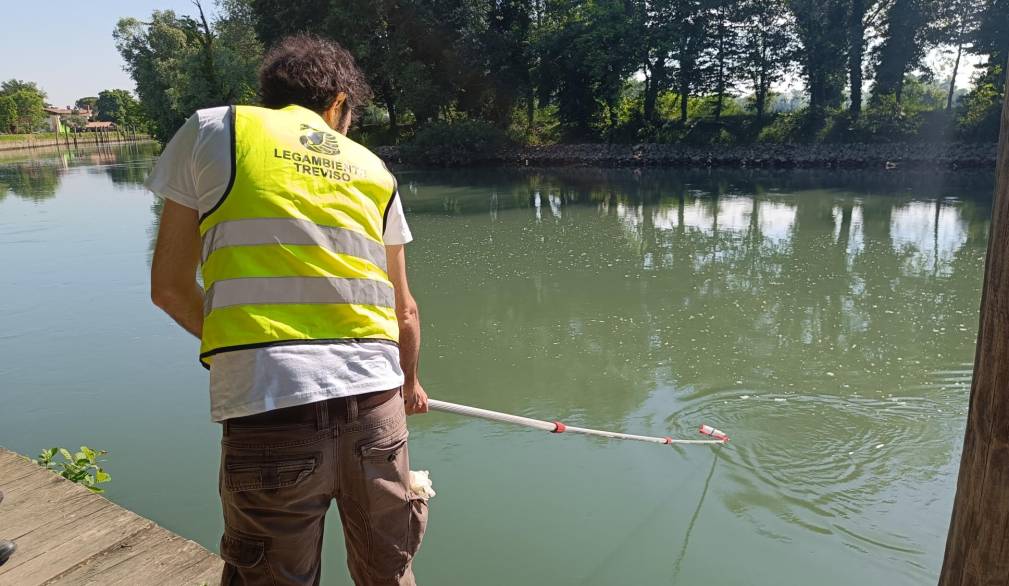 Operazione fiumi di Legambiente: le rilevazione sul fiume Sile Operazione fiumi di Legambiente: le rilevazione sul fiume Sile