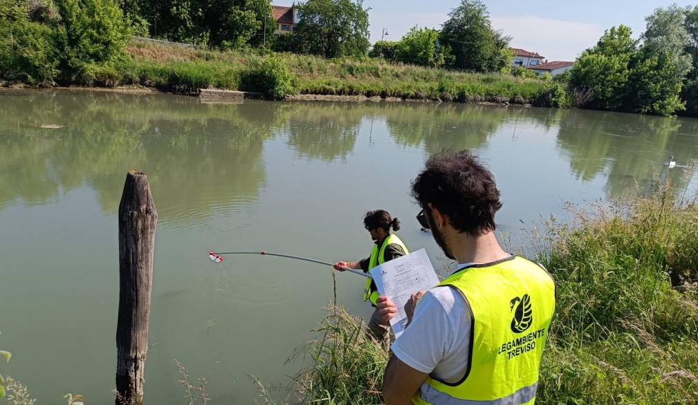 Operazione fiumi di Legambiente: le rilevazione sul fiume Sile Operazione fiumi di Legambiente: le rilevazione sul fiume Sile