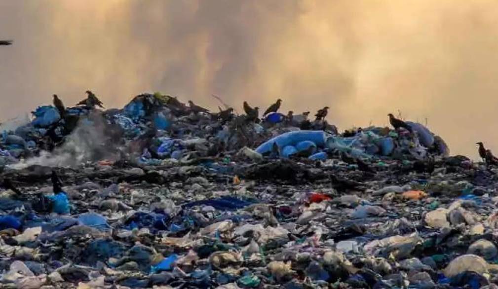 Ecomafia e corruzione ambientale in crescita. Tra le prime città, spunta Venezia Ecomafia e corruzione ambientale in crescita. Tra le prime città, spunta Venezia