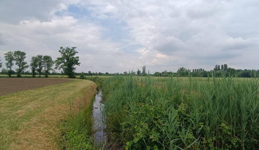 Ampliamento di Veneta Cucine a San Biagio, la preoccupazione di Legambiente Ampliamento di Veneta Cucine a San Biagio, la preoccupazione di Legambiente