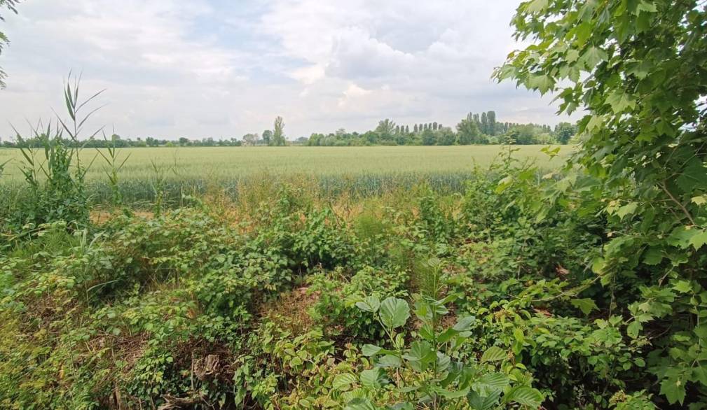 Ampliamento di Veneta Cucine a San Biagio, la preoccupazione di Legambiente Ampliamento di Veneta Cucine a San Biagio, la preoccupazione di Legambiente