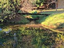 Passo avanti verso il parco del Botteniga a Treviso