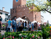 Domenica 13 aprile “Noale in Fiore” colora la città