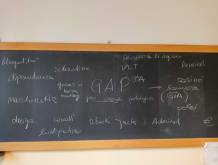 Gioco d’azzardo: Ceis Treviso riprende gli interventi di prevenzione nelle scuole