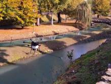 Sono iniziati i lavori per il completamento della passerella della penisola del Paradiso a Treviso